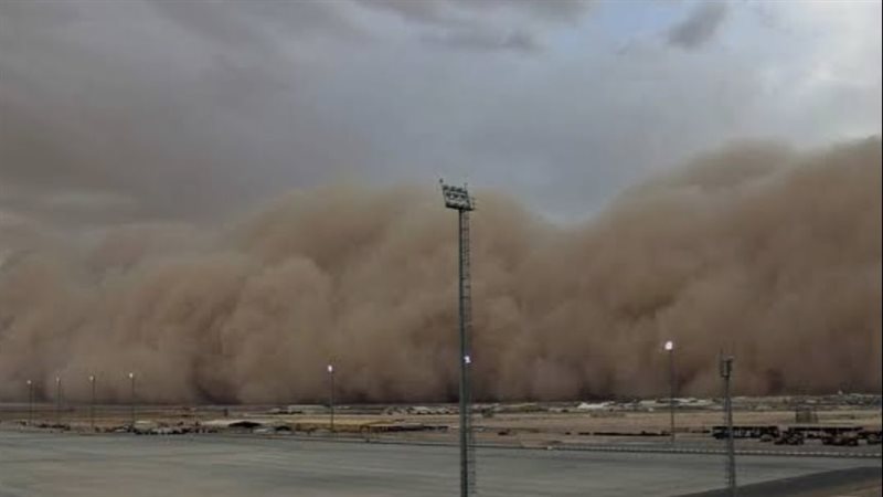 صرحت الدكتورة منار
