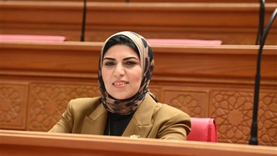 «تعليم النواب» تناقش أزمة خريجي التعليم المدمج والمفتوح الأربعاء المقبل