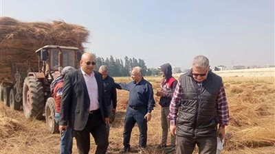توجيهات بتسهيل توريد القمح ورفع جاهزية الجمعيات الزراعية بالغربية