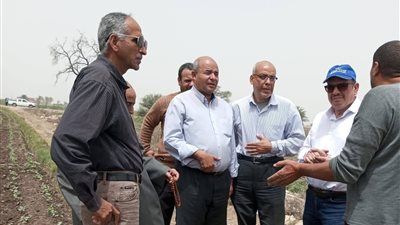 زراعة بنى سويف تكشف أرقام الاستمارات المعتمدة لكارت الفلاح وجهودها المختلفة 