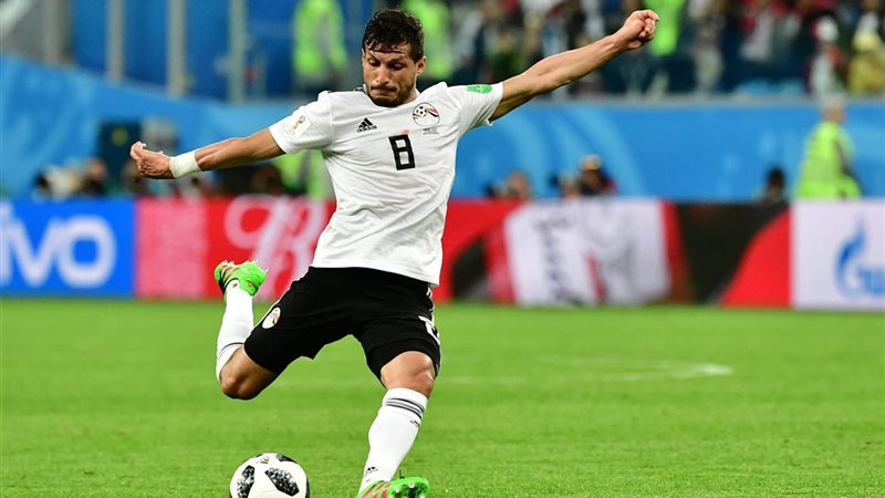 طارق حامد