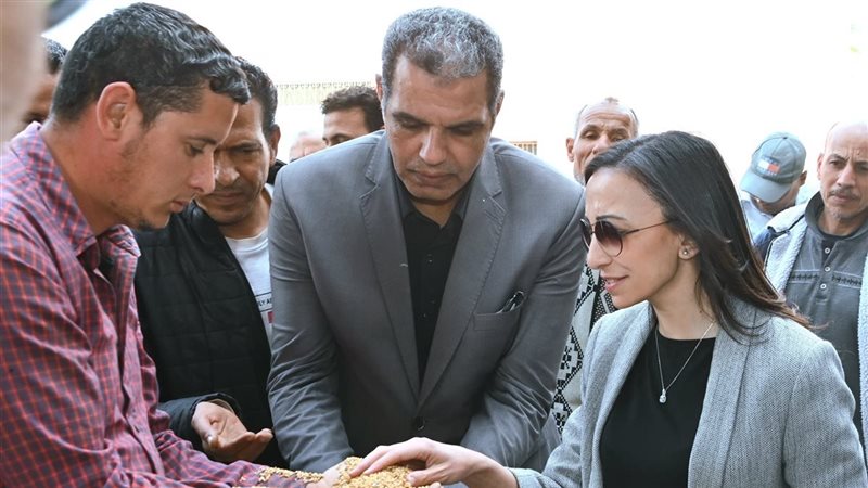 تفقد توريد القمح