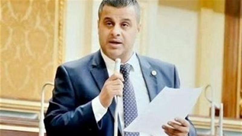 النائب عاصم عبد العزيز