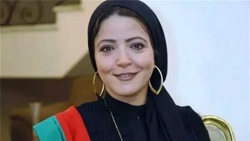 المستشارة هايدى الفضالى