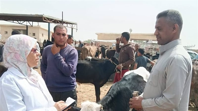 جانب من الحملة
