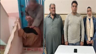 للتشهير وكسب التعاطف.. الأمن يكشف ملابسات اعتداء مسن على زوجة ابنه بكفر الشيخ