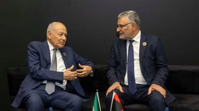 أبو الغيط: حل الأزمة الليبية لن يكون إلا بقيادة وطنية