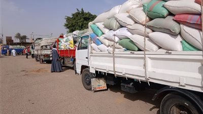 محافظ سوهاج: توريد أكثر من 3322 طن قمح للشون والصوامع منذ بدء الموسم