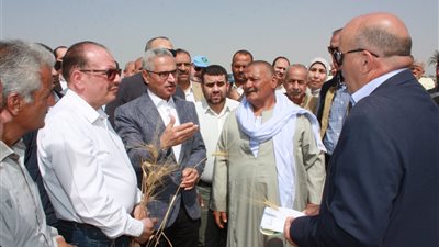 محافظ بني سويف يفتتح موسم حصاد القمح ويوجه رسائل للمزارعين
