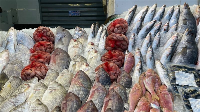 أسعار السمك اليوم
