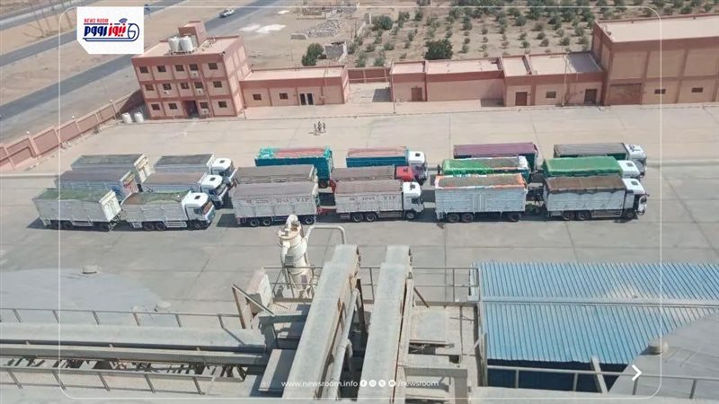 توريد محصول القمح