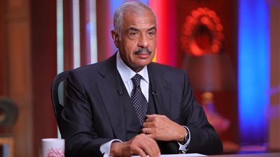 هشام طلعت مصطفى: 