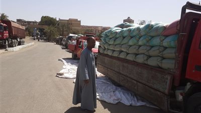 محافظ أسيوط: توريد 3560 طن قمح محلي للصوامع والشون حتى الآن  