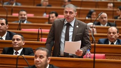 «جبيلي»: قرار إدراج الممتنعين عن سداد النفقات يدعم استقرار الأسرة