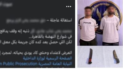 عاتبهما على معاكسة شقيقته.. ضبط المتهمين بالتعدي على عامل في السلام