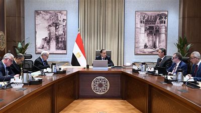 مدبولي: مناقشات مع عدد من الدول لإنشاء مراكز لوجيستية للحبوب والزيوت في مصر 