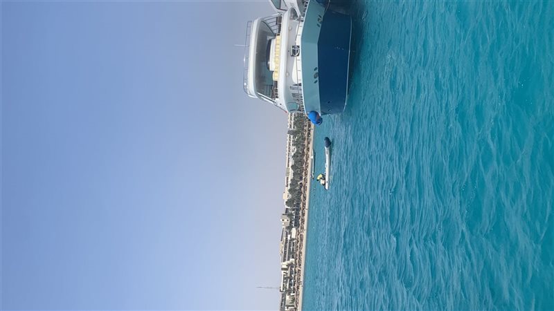 أرشيفية 