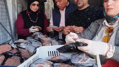 ضبط 150ك لحوم غير صالحة في حملة رقابية مكثفة على أسواق  السويس