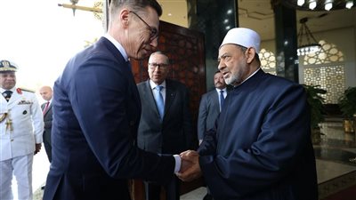 شيخ الأزهر ورئيس فنلندا يبحثان السلام العالمي وتفعيل القانون الدولي الإنساني