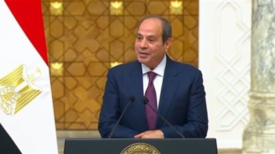 خبير: السيسي يعيد رسم دور أوروبا في أزمات المنطقة ويؤكد على الأمن القومي