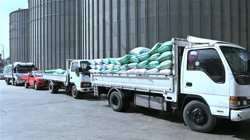 توريد 1748 طن قمح