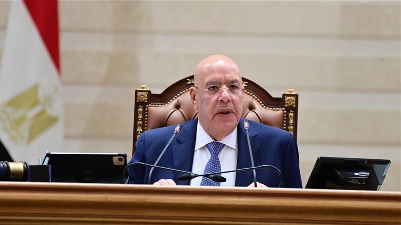 المستشار هشام بدوي