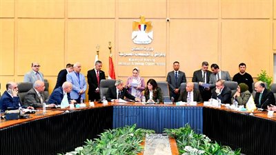 وزيرة الإسكان تلتقي أعضاء مجلس الشيوخ لبحث مطالب المواطنين