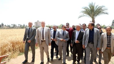 محافظ الشرقيه يشهد اعمال موسم حصاد القمح بمنطقة ابو سمران