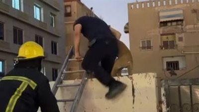 إنقاذ كلب محتجز داخل أرض فضاء بشارع 9 بمنطقة المقطم|صور