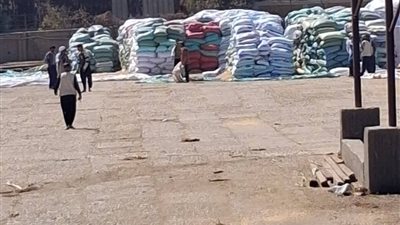 محافظ أسيوط: توريد 7191 طن قمح حتى الآن ضمن موسم 2026