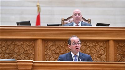وزير المالية: زيادة الأجور بحد أدني 1000 جنيه شهريًا 