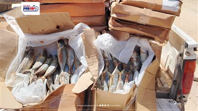 ضبط 240 كيلو سمك ماكريل منتهي الصلاحية في حملة تموينية بالفيوم