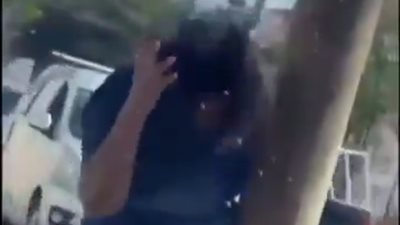 200 لدغة في ثوان.. شاهد لحظة هجوم جيش من النحل على سيدة خمسينية وسط الشارع
