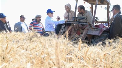 وسط فرحة المزارعين.. محافظ الغربية يطلق موسم حصاد القمح من مركز زفتى 