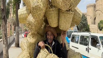 عبد الناصر زيدان : 