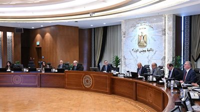  لدعم القطاعات الصناعية.. رئيس الوزراء يترأس اجتماع المجلس الأعلى للطاقة