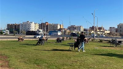 حملة مكبرة لرفع الاشغالات بحي فيصل لاعادة الانضباط والسيولة المرورية بالسويس