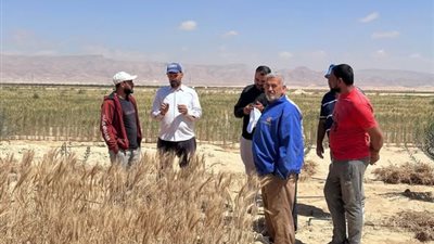 وزير الزراعة يستعرض حصاد التنمية بسيناء ويخصص 5 ملايين جنيه لدعم المرأة