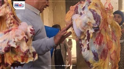 ضبط 277 كيلو لحوم فاسدة ومخالفات غذائية خلال حملات رقابية مكثفة في المنيا