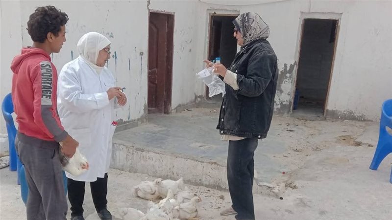 جانب من الحملة