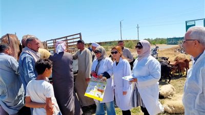 متابعة بيطرية مكثفة بسوق جنيفة لتحصين الماشية وحماية الثروة الحيوانية بالسويس