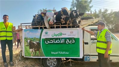 أورمان أسيوط تضع خطة متكاملة لتوزيع الأضاحي  لضمان وصول الدعم إلى مستحقيه