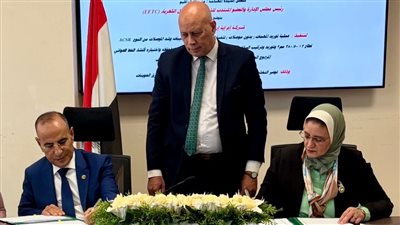 شركة الكهرباء تتعاقد على توفير التغذية الكهربية للأراضي الجديدة بشرق العوينات