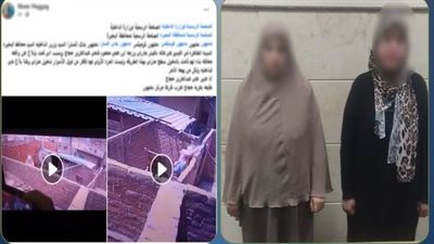 خناقة على السطوح.. ضبط سيدة حطمت كاميرات جارتها في البحيرة