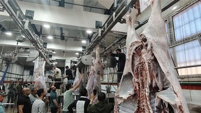 بتكلفة38 مليون جنيه.. بدءالتشغيل التجريبي لمجزر الزقازيق العام بمحافظة الشرقية