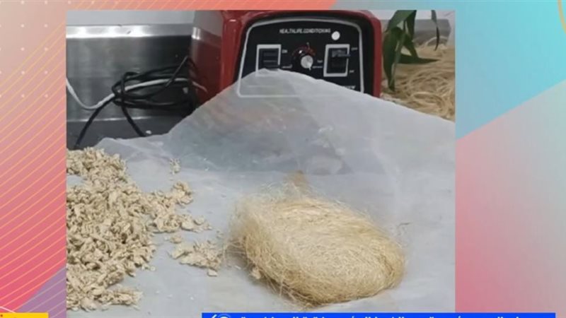 إنتاج ورق ترميم محلي