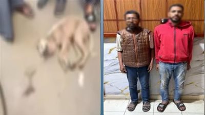 خايفين من العدوى.. القبض على شخصين لاتهامهم بضرب كل حتي الموت بالشرقية