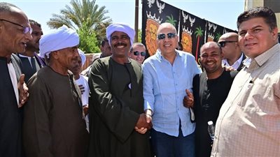 وزير الري يصل محافظة أسوان ويتفقد منطقة وادي النقرة 