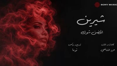 إنجي علي تشيد بشيرين عبدالوهاب بعد طرح أغنيتها: صوت استثنائي وإحساس صادق