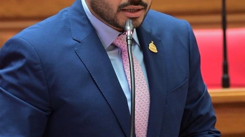 النائب أحمد ناصر